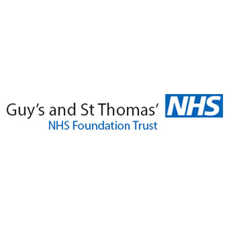 Web-guys-logo
